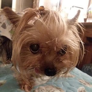 Meet your Posher, Vicki